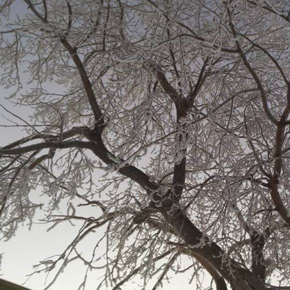 Meet your Posher, Brian - Picture 1 of 1